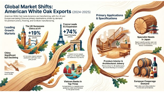 What Are the Primary Export Markets for White Oak?
